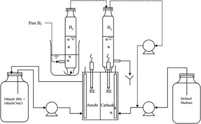 Effects of Applied Potential and Reactants to Hydrogen-Producing Biocathode in a Microbial Electrolysis Cell